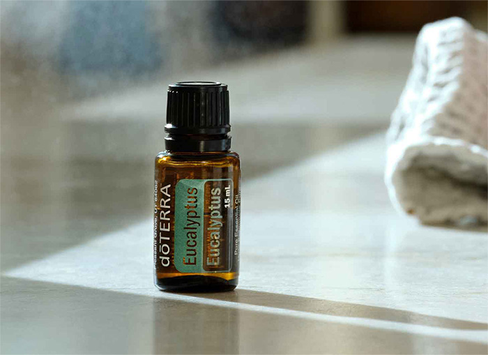 Eucalyptus Oil | doTERRA Essential Oils